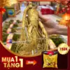 AVT_Nhân Sâm Tươi Hàn Quốc 6 Năm Tuổi VIP 1 Loại 6 Củ : kg_TET